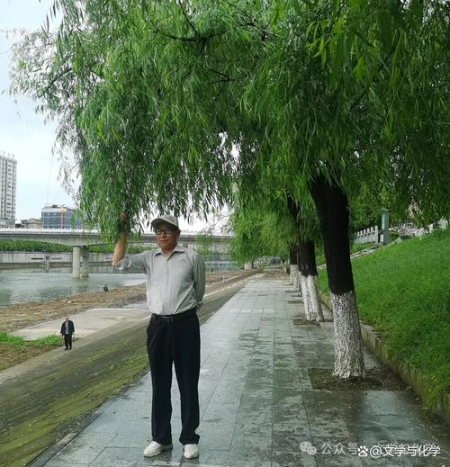 罗从芳,网络名,溆水浪花
